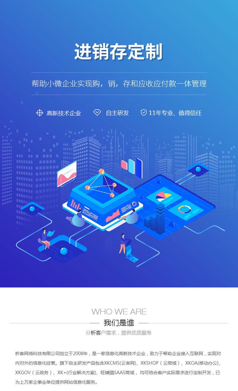 定制进销存系统:让企业管理更高效